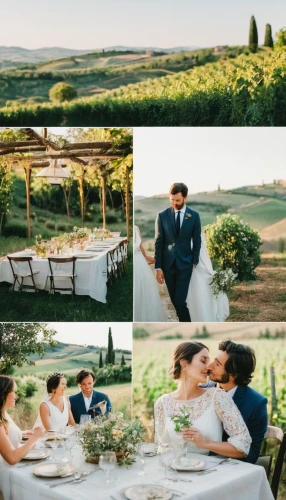 tuscan,wedding photography,wedding frame,chiavari chair,wedding photographer,olive grove,puglia,tuscany,apulia,wedding photo,silver wedding,passion vines,istria,pergola,tablescape,vintage lavender background,wedding glasses,italy,table arrangement,wedding couple,Illustration,Vector,Vector 11