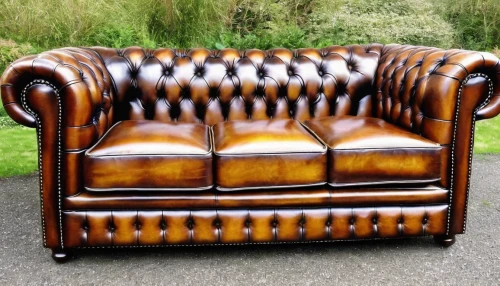 wing chair,armchair,antique furniture,settee,chaise longue,upholstery,milbert s tortoiseshell,loveseat,seating furniture,club chair,chaise lounge,danish furniture,tufted beautiful,chaise,tortoise shell,garden furniture,sofa set,embossed rosewood,tortoiseshell,mid century sofa,Illustration,Paper based,Paper Based 26