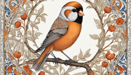 flower and bird illustration,an ornamental bird,ornamental bird,bird painting,bird illustration,zebra finch,spring bird,zebra finches,bull finch,floral and bird frame,finch,bird pattern,australian zebra finch,old world oriole,the finch,ornithology,whimsical animals,robin redbreast,songbirds,rufous,Illustration,Realistic Fantasy,Realistic Fantasy 42