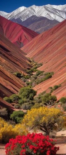 the atacama desert,sossusvlei,atacama desert,red earth,argentina desert,flaming mountains,flowerful desert,atacama,namib,red sand,namib desert,teide national park,pink sand dunes,atlas mountains,coral pink sand dunes,arid landscape,el teide,morocco,colorado sand dunes,painted hills,Illustration,Retro,Retro 18