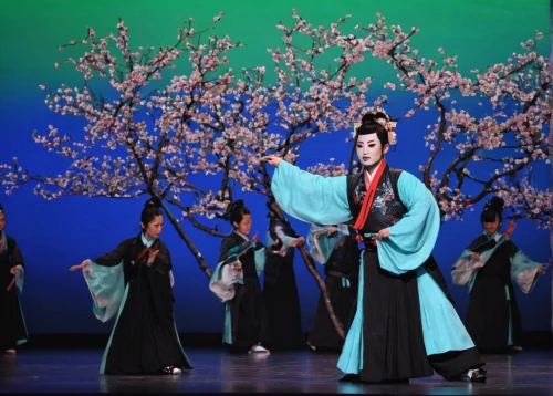 taiwanese opera,peking opera,ikebana,the japanese tree,plum blossoms,theatrical scenery,korean culture,traditional korean musical instruments,japanese cherry trees,plum blossom,shakuhachi,sejong-ro,shamisen,traditional japanese musical instruments,japanese culture,the cherry blossoms,spring festival,bamboo flute,cherry blossom japanese,takato cherry blossoms,Photography,Fashion Photography,Fashion Photography 16