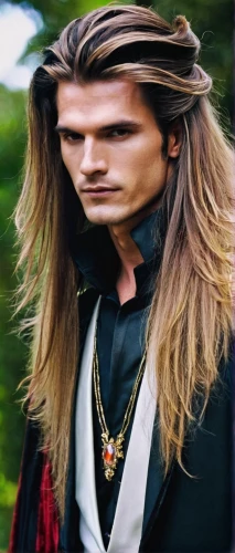 male elf,cullen skink,elven,pagan,tangelo,leonardo devinci,weehl horse,gyro,haighlander,rune,leonardo,luka,kos,british semi-longhair,scot,pan,beetzaun,british longhair,w 21,dan,Illustration,Realistic Fantasy,Realistic Fantasy 37