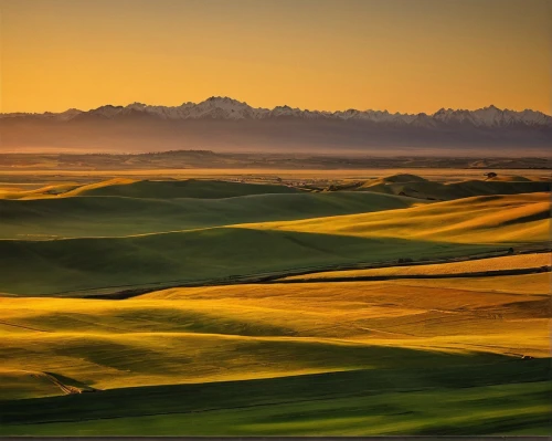 golf landscape,dune ridge,indian canyons golf resort,golf course background,colorado sand dunes,the golf valley,rolling hills,dune landscape,san dunes,indian canyon golf resort,sand dunes,golf courses,the old course,the gobi desert,inner mongolian beauty,shifting dunes,feng shui golf course,sand trap,meadow fescue,gobi desert,Illustration,American Style,American Style 05