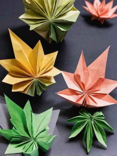 origami paper,origami,paper flowers,green folded paper,origami paper plane,paper flower background,paper roses,japanese paper lanterns,fabric flowers,pinwheels,paper art,japanese wave paper,tea flowers,folded paper,lotus leaves,fabric flower,autumn leaf paper,minimalist flowers,lotus leaf,paper umbrella,Unique,Paper Cuts,Paper Cuts 02