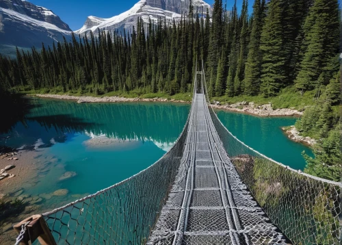 hanging bridge,canadian rockies,banff national park,suspension bridge,jasper national park,scenic bridge,banff alberta,humpback bridge,mount robson,lake louise,british columbia,rope bridge,moraine lake,banff,maligne lake,icefields parkway,rainbow bridge,bailey bridge,tied-arch bridge,wooden bridge,Photography,Black and white photography,Black and White Photography 11