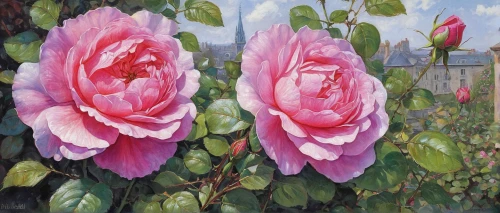 camellias,noble roses,camelliers,blooming roses,peonies,lotuses,rosa-sinensis,peony,bella rosa,flower painting,pink peony,pink roses,peony frame,camellia,rosa,magnolias,peony pink,nelumbo,garden roses,oil painting,Conceptual Art,Oil color,Oil Color 06