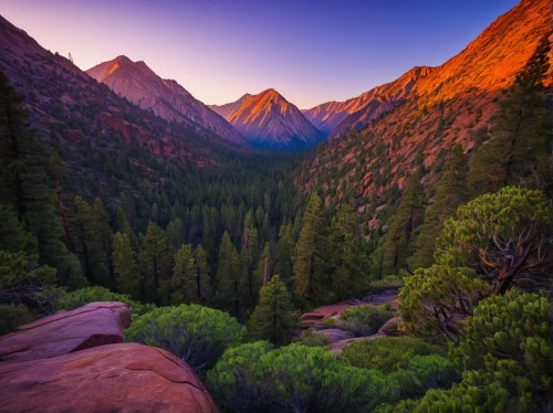 united states national park,salt meadow landscape,yosemite national park,mountain sunrise,yosemite park,yosemite,zion national park,red rock canyon,national park,fallen giants valley,mountain meadow,mount wilson,yosemite valley,western united states,fairyland canyon,rocky mountain,nationalpark,mountain landscape,larch forests,beautiful landscape,Illustration,Realistic Fantasy,Realistic Fantasy 45