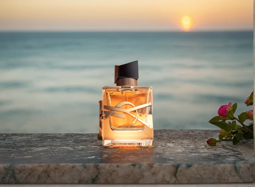 scent of jasmine,orange scent,coconut perfume,fragrance,natural perfume,scent of roses,parfum,creating perfume,perfume bottle,orange blossom,perfumes,spritz,tuberose,message in a bottle,malibu rum,home fragrance,perfume bottle silhouette,aegean sea,sea breeze,aftershave