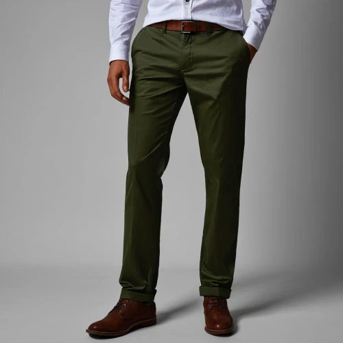 khaki pants,suit trousers,khaki,men clothes,men's wear,trousers,men's suit,male model,sage green,pine green,cargo pants,trouser buttons,dark green,gray-green,white-collar worker,brown fabric,menswear,two-tone,dress shoes,dress shirt,Illustration,Abstract Fantasy,Abstract Fantasy 20