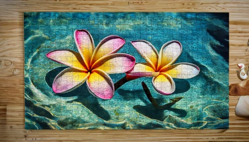 frangipani,flower painting,plumeria,floral rangoli,pond flower,water lotus,mandevilla,water flower,lily water,water lily plate,hawaiian hibiscus,flower water,lilies,lotus on pond,tropical flowers,lily flower,white plumeria,nimphaea,pink plumeria,lily pads,Art,Classical Oil Painting,Classical Oil Painting 09