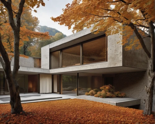 mid century house,modern house,house in the forest,mid century modern,house in the mountains,dunes house,house in mountains,modern architecture,archidaily,ruhl house,fall landscape,corten steel,residential house,cubic house,exposed concrete,contemporary,frame house,cube house,private house,beautiful home,Photography,Fashion Photography,Fashion Photography 12