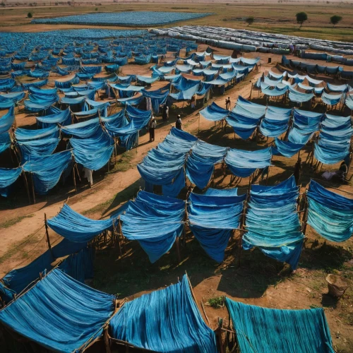 tent camp,the shrimp farm,basotho,tents,teal blue asia,human settlement,xinjiang,fish farm,mud village,inner mongolia,tent pegging,aquaculture,water supply,tent tops,waste water system,indian tent,solar field,bedouin,mongolia eastern,concentration camp,Photography,Documentary Photography,Documentary Photography 30