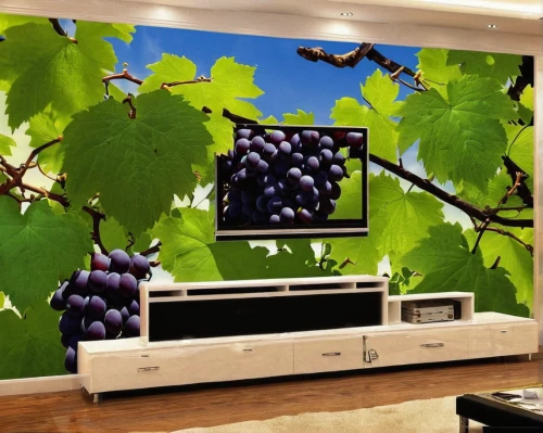 grapes icon,purple grapes,wood and grapes,grapevines,fresh grapes,blue grapes,grape vine,grape harvesting machine,grapes,wine growing,red grapes,wine rack,wine grape,grape hyancinths,white grapes,wine grapes,passion vines,flat panel display,isabella grapes,home theater system,Illustration,Paper based,Paper Based 21