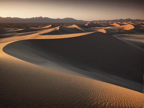 crescent dunes,desert desert landscape,desert landscape,libyan desert,dubai desert,shifting dunes,capture desert,sahara desert,admer dune,desert,sand dunes,the desert,desert background,sahara,sand paths,dune landscape,dunes,shifting dune,the sand dunes,san dunes,Illustration,Realistic Fantasy,Realistic Fantasy 17