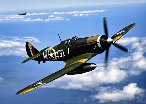 supermarine spitfire,curtiss p-40 warhawk,corsair,lockheed hudson,north american t-6 texan,westland terrier,north american p-51 mustang,grumman f8f bearcat,vought f4u corsair,messerschmitt bf 108,grumman f6f hellcat,republic p-47 thunderbolt,messerschmitt bf 109,t28 trojan,focke-wulf fw 190,hudson wasp,pv-1,avro lancaster,hurricane,north american a-36 apache,Illustration,Black and White,Black and White 10