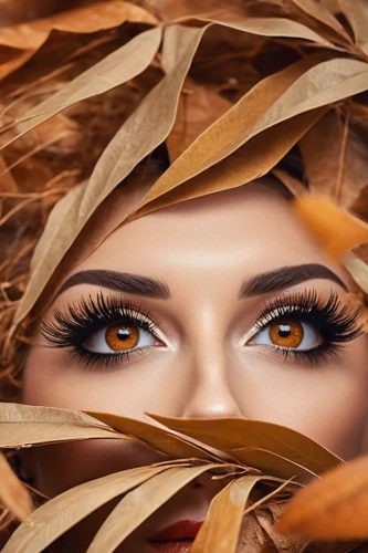 women's eyes,eyes makeup,golden eyes,regard,eyelash extensions,peacock eye,pheasant's-eye,eyes,orange eyes,fire eyes,autumn theme,autumn background,brown eye,gold eyes,tiger lily,round autumn frame,look into my eyes,cat eyes,cat eye,pupil,Illustration,Retro,Retro 12