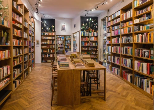 bookshop,bookstore,book store,book wall,bookselling,bookshelves,reading room,athenaeum,coffee and books,bookcase,book bindings,books,tea and books,shelving,book hunsrück,the books,shelves,bookshelf,books pile,children's interior,Art,Artistic Painting,Artistic Painting 23
