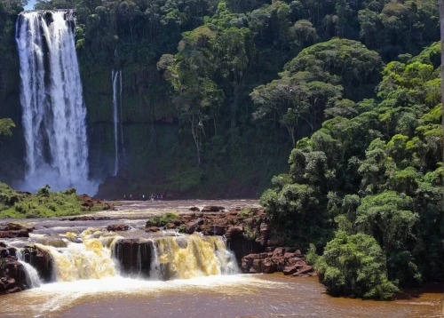 wasserfall,brown waterfall,bond falls,iguassu,water falls,herman national park,conguillío national park,roraima,ethiopia,waterfalls,green waterfall,falls of the cliff,alismatales,falls,water fall,ilse falls,tumpaksewu,zimbabwe,victoria falls,cabaneros national park,Art,Classical Oil Painting,Classical Oil Painting 16