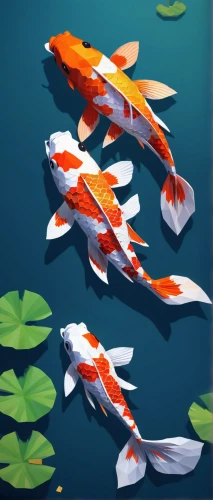 koi fish,koi carps,koi carp,koi,koi pond,diamond tetra,fishes,red fish,small fish,two fish,fish pen,tobaccofish,forest fish,salmon-like fish,fish in water,sea scouts,marine fish,tropical fish,school of fish,fish,Unique,3D,Low Poly