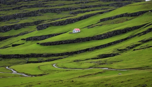 faroe islands,azores,icelandic houses,winding roads,winding road,rolling hills,eastern iceland,the azores,acores,sete cidades,sani pass,house in mountains,lonely house,ireland,green landscape,iceland,northern ireland,the transfagarasan,transfagarasan,home landscape,Illustration,Black and White,Black and White 32