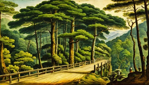 forest landscape,forest road,tropical and subtropical coniferous forests,the forests,green forest,khokhloma painting,riparian forest,forest path,estrada de ferro,tree top path,forests,david bates,coniferous forest,hiking path,pine forest,northwest forest,forest background,mountain scene,brook landscape,wooden bridge,Art,Classical Oil Painting,Classical Oil Painting 21