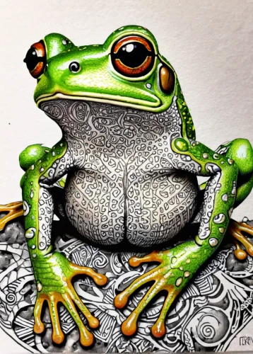 frog king,frog figure,bottomless frog,bullfrog,true toad,bull frog,woman frog,jazz frog garden ornament,green frog,frog through,frog background,toad,frog,man frog,texas toad,litoria fallax,true frog,litoria caerulea,beaked toad,barking tree frog,Illustration,Black and White,Black and White 11