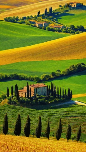 tuscany,tuscan,campagna,italia,home landscape,italy,beautiful landscape,monferrato,landscape nature,green landscape,rural landscape,farm landscape,countryside,nature landscape,rolling hills,landscapes beautiful,green fields,vineyards,farmland,piemonte,Conceptual Art,Oil color,Oil Color 14