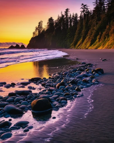 ruby beach,vancouver island,beach landscape,pacific coastline,sunrise beach,oregon,beautiful beaches,coast sunset,mountain beach,sunset beach,coastal landscape,cliff beach,beautiful beach,beach scenery,united states national park,tofino,rocky beach,shoreline,black beach,pink beach,Conceptual Art,Daily,Daily 19