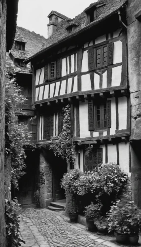 elizabethan manor house,timber framed building,half timbered,half-timbered,half-timbered house,half-timbered houses,honfleur,knight house,shaftesbury,hotel de cluny,tudor,alsace,medieval architecture,henry g marquand house,lincoln's cottage,inn,almshouse,half-timbered wall,courtyard,flock house,Photography,Black and white photography,Black and White Photography 15