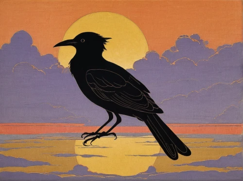 brewer's blackbird,new caledonian crow,crow,currawong,crows bird,crow in silhouette,crows,black crow,crow-like bird,raven bird,black bird,corvidae,fish crow,grackle,common raven,murder of crows,carrion crow,pied currawong,american crow,corvid,Illustration,Black and White,Black and White 24