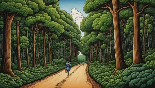 forest road,forest path,tree-lined avenue,green forest,tree lined path,forest landscape,tree lined lane,tree grove,cartoon forest,the forests,forest workers,spruce forest,david bates,forest walk,deciduous forest,the forest,pine forest,grove of trees,chestnut forest,pathway,Illustration,Black and White,Black and White 14