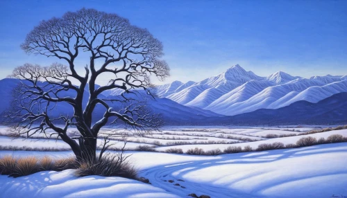 winter landscape,snow landscape,snowy landscape,snow scene,winter background,snow trees,salt meadow landscape,snow fields,snowy mountains,winter tree,snow tree,christmas landscape,mountain scene,heather winter,wintry,mountain landscape,mountain alder,isolated tree,snowy tree,lone tree,Illustration,Realistic Fantasy,Realistic Fantasy 41