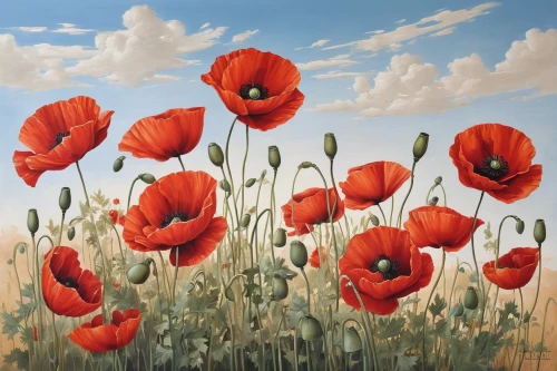 red poppies,poppy flowers,poppy fields,poppies,coquelicot,poppy field,field of poppies,red poppy,remembrance day,red poppy on railway,opium poppies,klatschmohn,papaver,seidenmohn,flower painting,corn poppies,poppy family,poppies in the field drain,lest we forget,floral poppy,Art,Classical Oil Painting,Classical Oil Painting 02