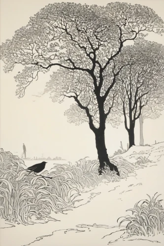 edward lear,snow scene,cool woodblock images,snow trees,winter landscape,the japanese tree,woodblock prints,snow landscape,snow tree,ash-maple trees,bare trees,brook landscape,ebony trees and persimmons,winter tree,walnut trees,snow drawing,woodcut,snowy still-life,almond trees,luo han guo,Illustration,Black and White,Black and White 24