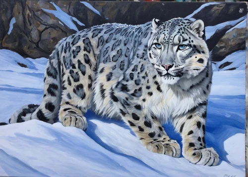 snow leopard,lynx,tundra,siberian tiger,siberian,white bengal tiger,oil painting,cheetah,endangered,blue tiger,oil painting on canvas,oil on canvas,white tiger,piebald,landseer,jaguar,painting technique,leopard's bane,arabian mau,amur adonis,Photography,Black and white photography,Black and White Photography 10