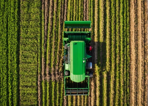 dji agriculture,farm tractor,agricultural machinery,agriculture,tractor,grain field panorama,agroculture,aggriculture,harvester,combine harvester,john deere,cropland,harvesting,drone shot,drone photo,sprayer,pesticide,drone view,farming,agricultural machine,Illustration,American Style,American Style 03