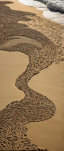 sand waves,sand pattern,sand paths,wave pattern,waves circles,sand texture,shifting dunes,sand seamless,footprint in the sand,crescent dunes,sand art,sand dunes,footprints in the sand,dunes national park,beach erosion,tracks in the sand,dune sea,sand dune,shifting dune,admer dune,Photography,Fashion Photography,Fashion Photography 12