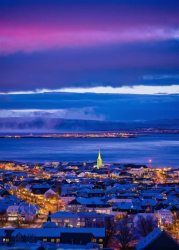 reykjavik,husavik,kirkenes,punta arenas,nuuk,icelanders,iceland,trondheim,falkland islands,eastern iceland,bodø,ushuaia,icelandic houses,seyðisfjörður,northern norway,fairbanks,saint john,puerto natales,great salt lake,salt lake,Illustration,American Style,American Style 07