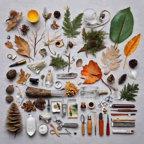 naturopathy,herbarium,autumn still life,beachcombing,herbal medicine,foragers,medicinal plants,rubiaceae family,ayurveda,marine invertebrates,still life photography,natural medicine,potpourri,christmas flat lay,natural cosmetics,homeopathically,assortment,flatlay,hiking equipment,cornucopia,Unique,Design,Knolling