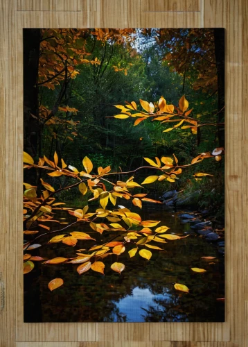 leaves frame,autumn frame,round autumn frame,fall picture frame,fall leaf border,autumnal leaves,leaves in the autumn,autumn leaf paper,autumn landscape,beech leaves,maple leave,colored leaves,yellow leaves,autumn background,blue leaf frame,maple foliage,fall landscape,autumn leaves,glitter fall frame,autumn foliage,Art,Classical Oil Painting,Classical Oil Painting 05