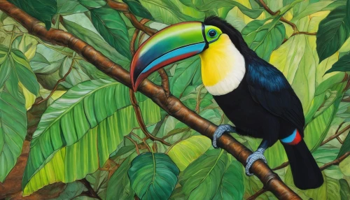 keel-billed toucan,keel billed toucan,toco toucan,chestnut-billed toucan,yellow throated toucan,toucan perched on a branch,brown back-toucan,toucans,black toucan,pteroglossus aracari,swainson tucan,pteroglosus aracari,toucan,perched toucan,tucan,tropical bird climber,tucano-toco,bird painting,bird-of-paradise,tropical bird,Illustration,Retro,Retro 25