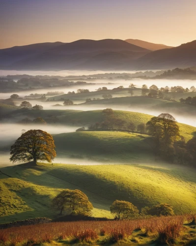 lake district,peak district,yorkshire dales,yorkshire,brecon beacons,wales,foggy landscape,meadow landscape,landscapes beautiful,dorset,rolling hills,north yorkshire,derbyshire,beautiful landscape,northern ireland,morning mist,green landscape,meadows of dew,staffordshire,fog banks,Illustration,Abstract Fantasy,Abstract Fantasy 19