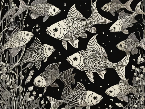 fishes,school of fish,fish collage,koi carp,porcupine fishes,fish in water,koi fish,forest fish,trigger fish,angelfish,coral reef fish,feeder fish,marine fish,black and white pattern,tropical fish,underwater fish,forage fish,triggerfish-clown,shoal,escher,Illustration,Black and White,Black and White 21
