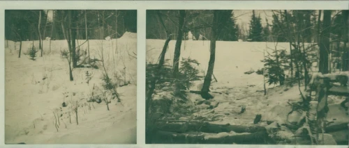 snow trees,film strip,gooseberry falls,winter forest,agfa isolette,icicles,snowfield,birch trees,white springs,ilse falls,winter landscape,white cliffs,polaroid pictures,ambrotype,ice landscape,ice climbing,snow scene,limestone cliff,snow in pine trees,multiple exposure,Photography,Documentary Photography,Documentary Photography 03