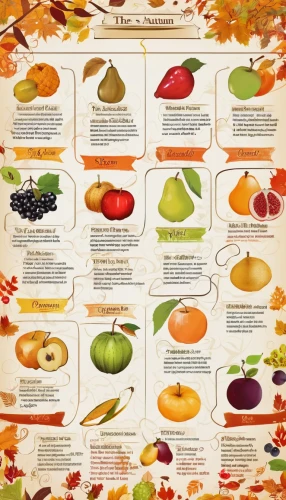 autumn fruits,natural foods,fruits and vegetables,autumn fruit,thanksgiving veggies,thanksgiving background,healthy menu,autumn taste,fall animals,autumn jewels,fruits icons,edible fruit,organic fruits,fall foliage,autumn theme,fruit icons,color chart,exotic fruits,autumn background,colors of autumn,Unique,Design,Infographics