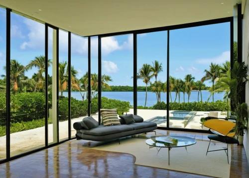 fisher island,luxury home interior,glass wall,florida home,window film,luxury property,glass panes,interior modern design,sliding door,contemporary decor,modern living room,window covering,room divider,structural glass,sandpiper bay,holiday villa,landscape design sydney,house by the water,window treatment,great room,Illustration,Black and White,Black and White 22