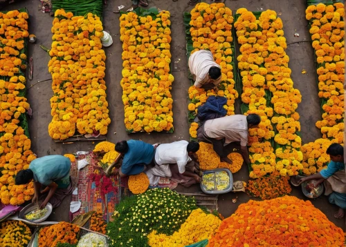 floral rangoli,flower cart,marigolds,thai garland,vegetable market,flower garland,flower carpet,market vegetables,flower clock,flower wall en,floral decorations,pookkalam,wreath of flowers,harvest festival,splendor of flowers,sea of flowers,cut flowers,farmers market flowers,flower marigolds,fruit market,Art,Classical Oil Painting,Classical Oil Painting 31