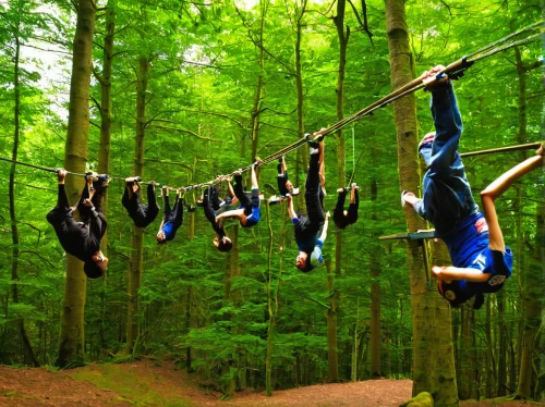 hanging elves,rope swing,tree swing,pole climbing (gymnastic),high ropes course,hanging panda,rope climbing,women climber,flying fox,hanging swing,just hang out,hanging temple,men climber,calisthenics,zip line,happy children playing in the forest,slacklining,fairies aloft,zipline,headpins,Illustration,Children,Children 01