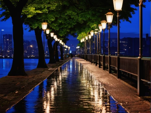 walkway,waterfront,montreux,flooded pathway,han river,river seine,street lamps,the waterfront,embankment,river side,riverside,waterside,lakeshore,house by the water,promenade,boardwalk,passerelle,lake shore,row of trees,grand canal,Illustration,Japanese style,Japanese Style 05