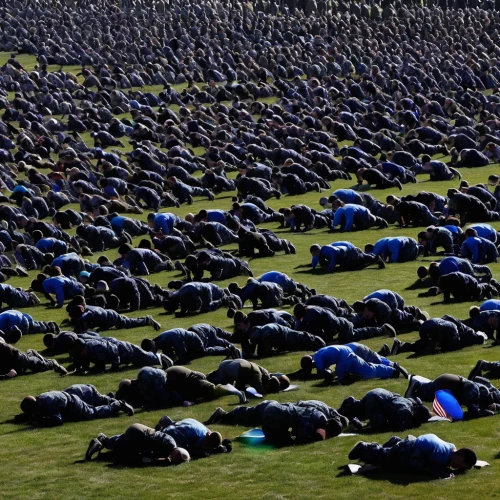 french military graveyard,panorama from the top of grass,tent camp,cornflower field,falkland islands,muslim holiday,highland games,gathering,molehill,icelanders,tent tops,muslims,surya namaste,concert crowd,australian cemetery,field of flowers,islam,goth festival,a flock of sheep,tents,Conceptual Art,Oil color,Oil Color 02